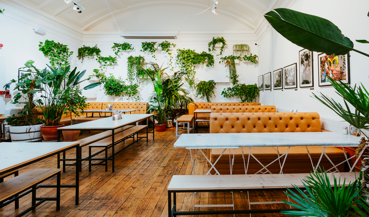 Medicine Bakery Coffee — café photo 1