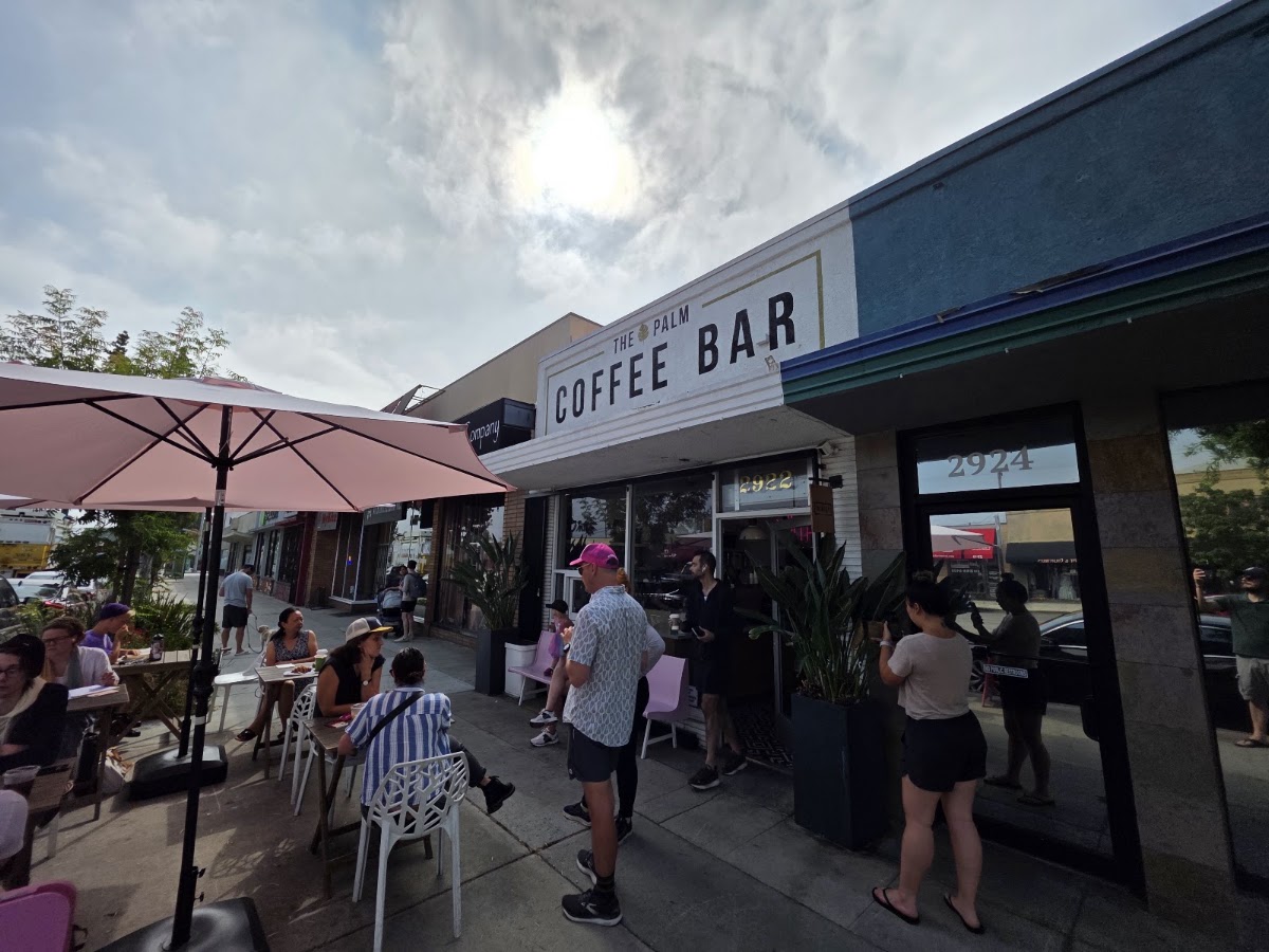 The Palm Coffee Bar — café photo 4