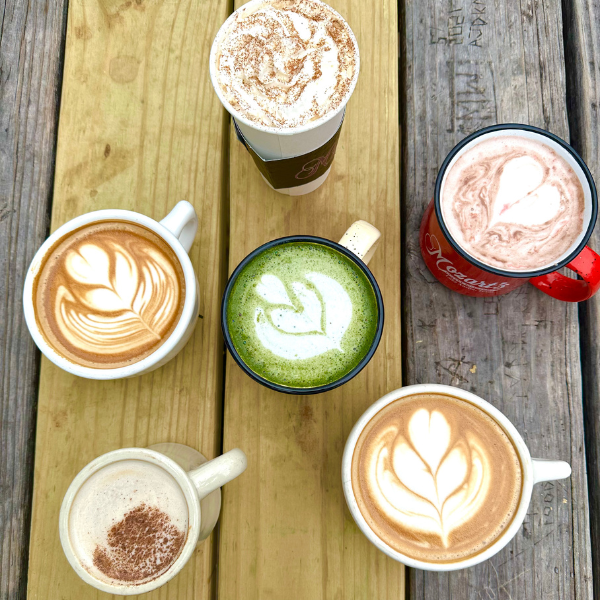 Mozart's Coffee Roasters — café photo 2