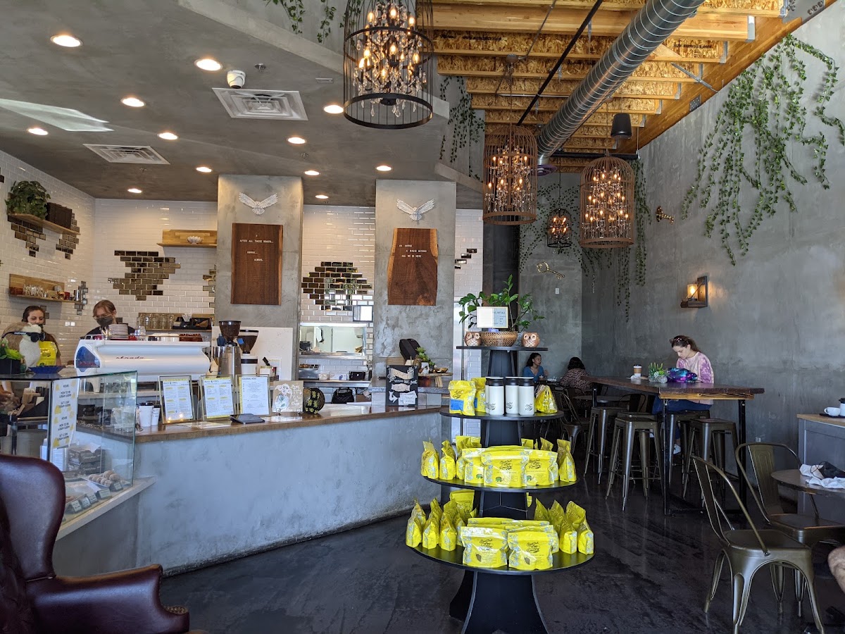 Bad Owl Coffee Summerlin — café photo 1