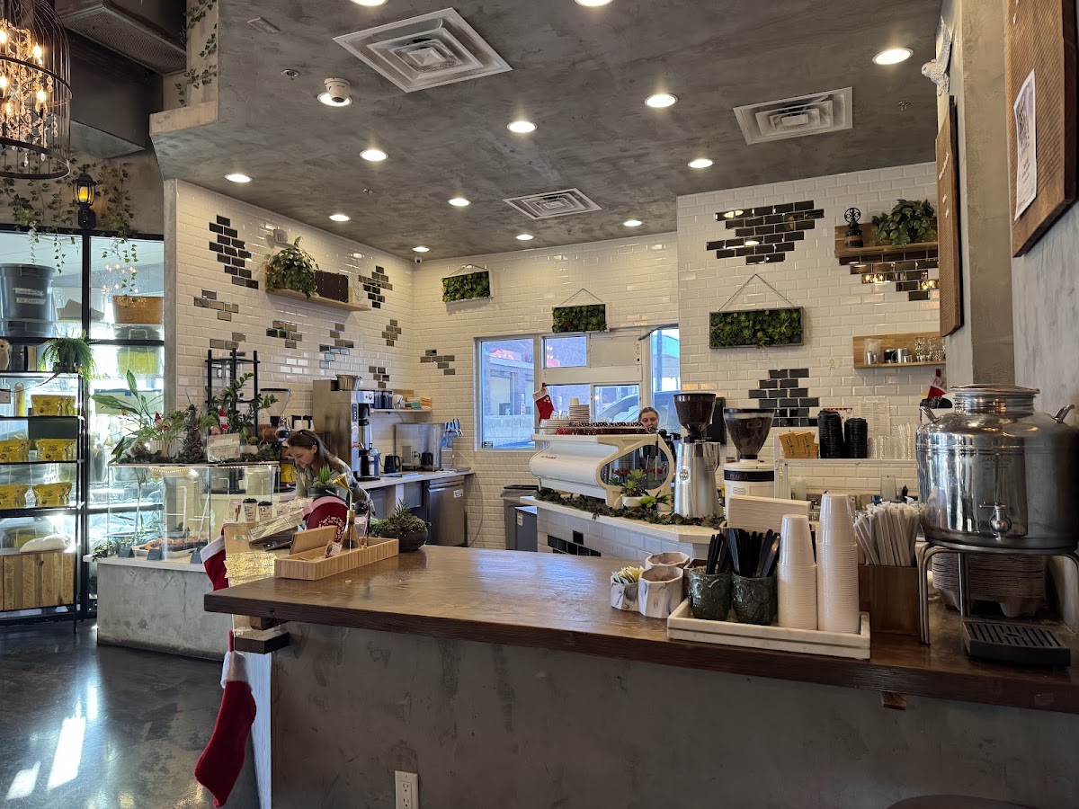 Bad Owl Coffee Summerlin — café photo 5