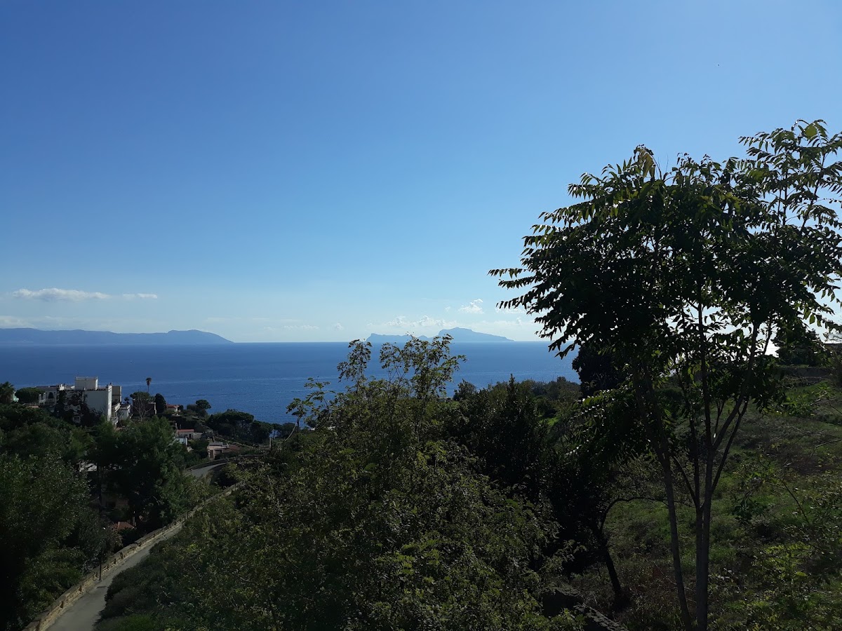 Posillipo Sea Coffee — café photo 3