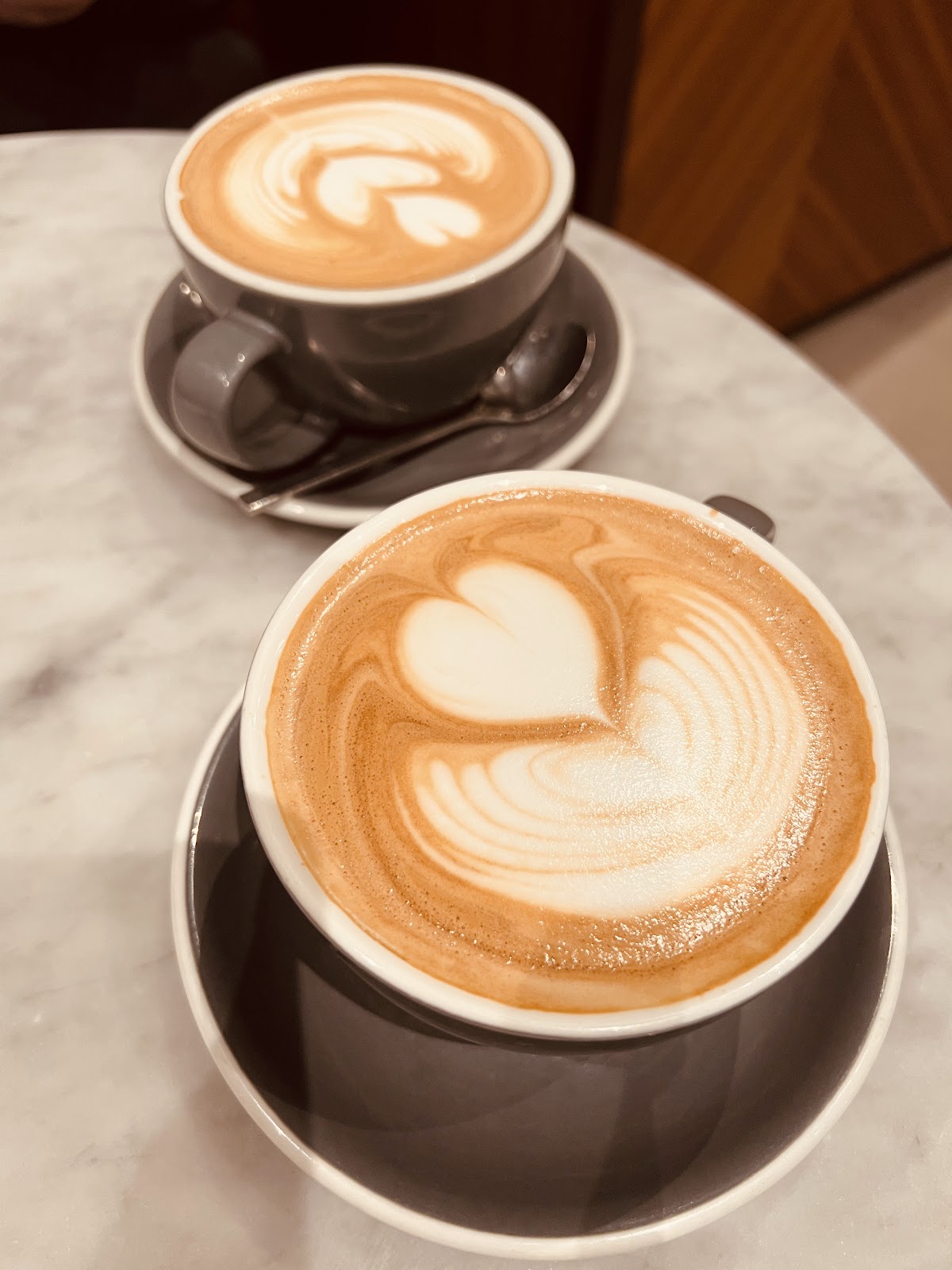 Black Fox Coffee — café photo 4