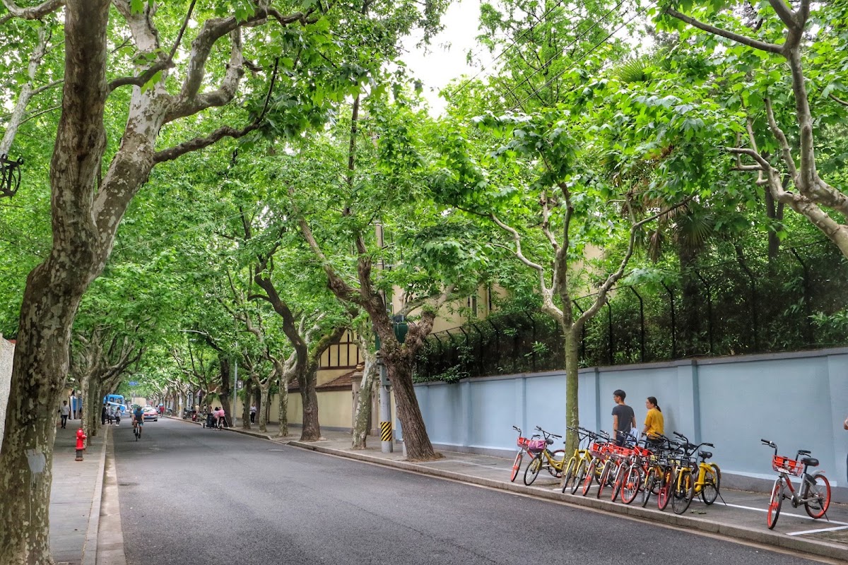 Former French Concession Coffee — café photo 3