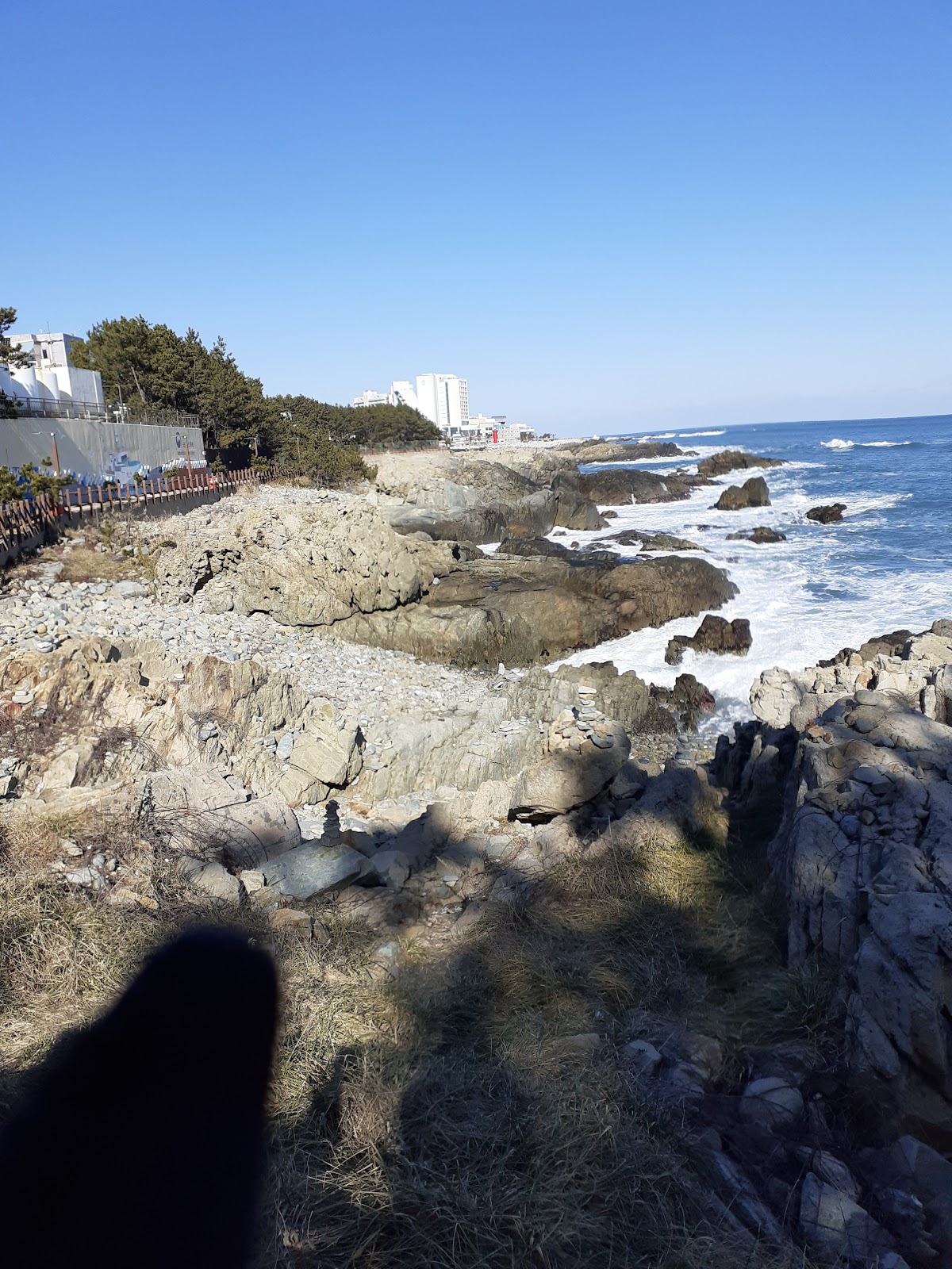 Marine City Coffee — café photo 4