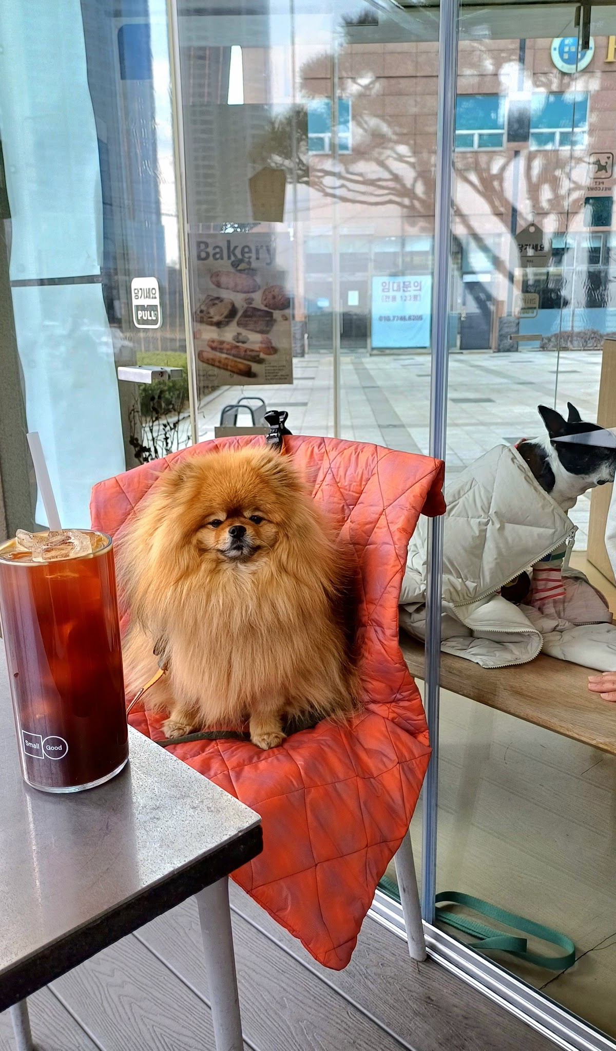 Marine City Coffee — café photo 6