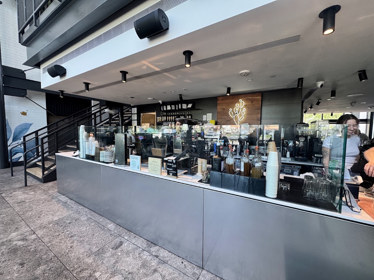 Provision Coffee Bar — café photo 5