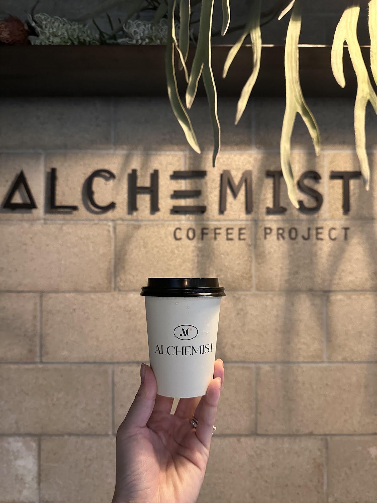 Alchemist Coffee Project at The Pearl — café photo 6