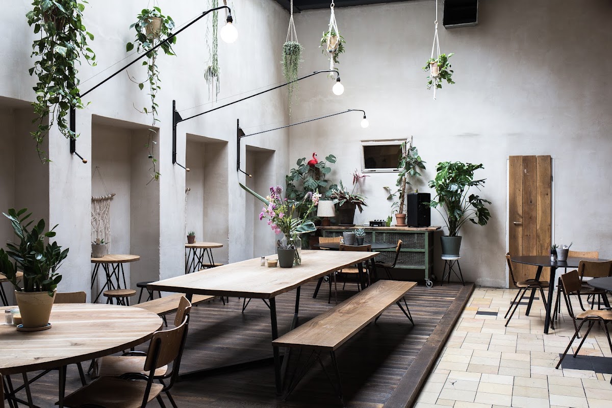 Hallesches Haus — café photo 1