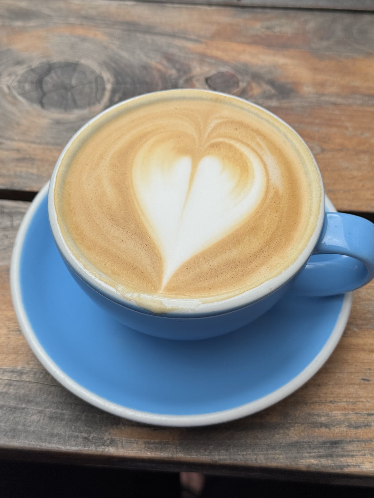 Davis Street Espresso — café photo 4