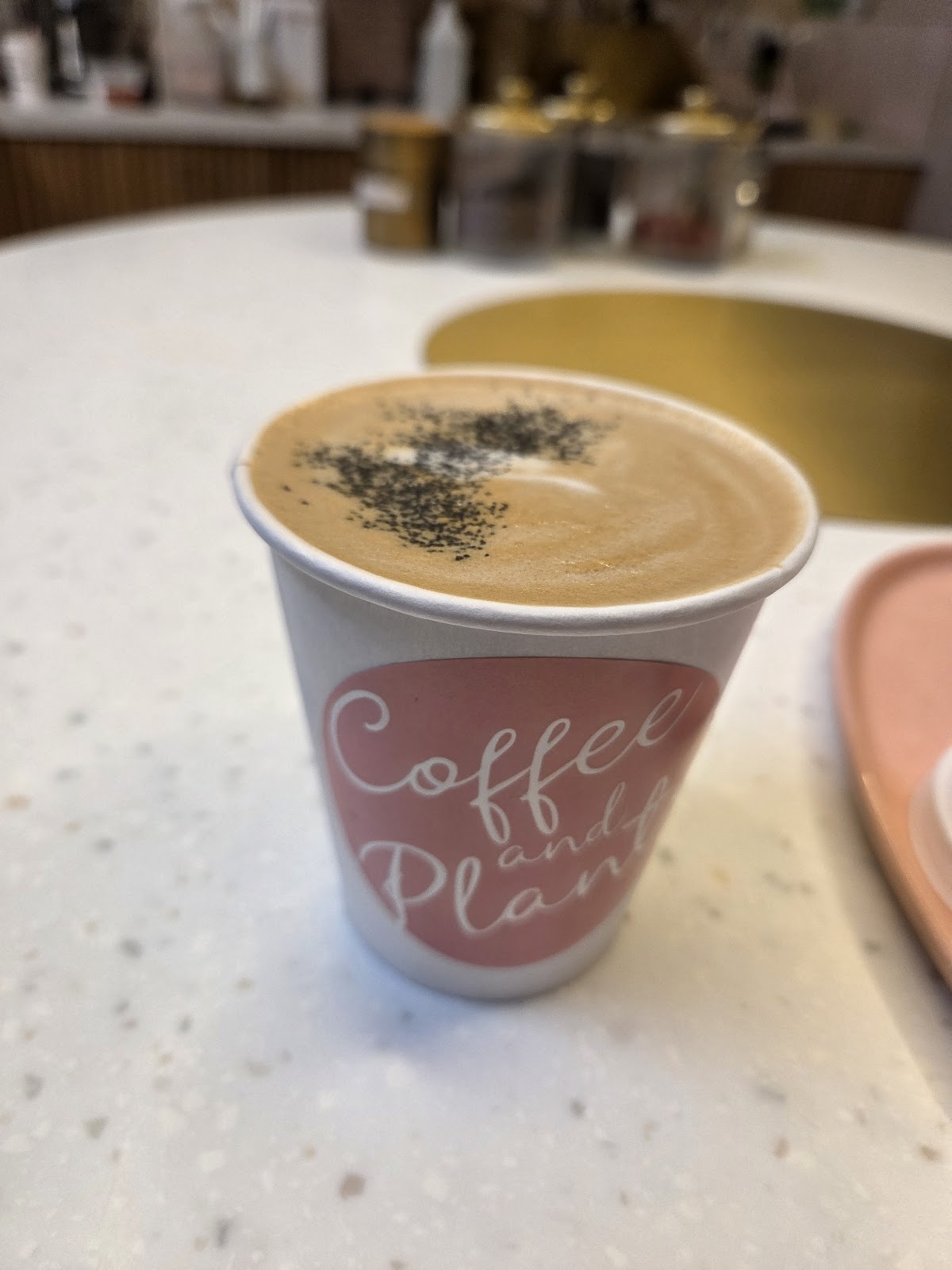 Coffee and Plants — café photo 5