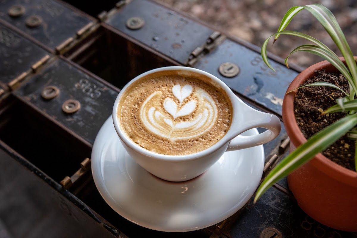 Tanam Coffee Somerville — café photo 2