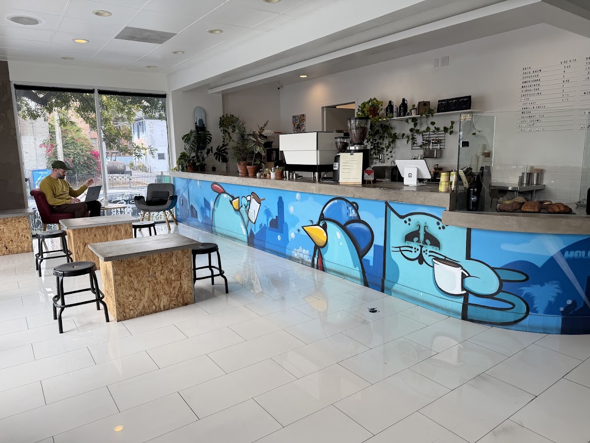Spl. Coffee — café photo 5