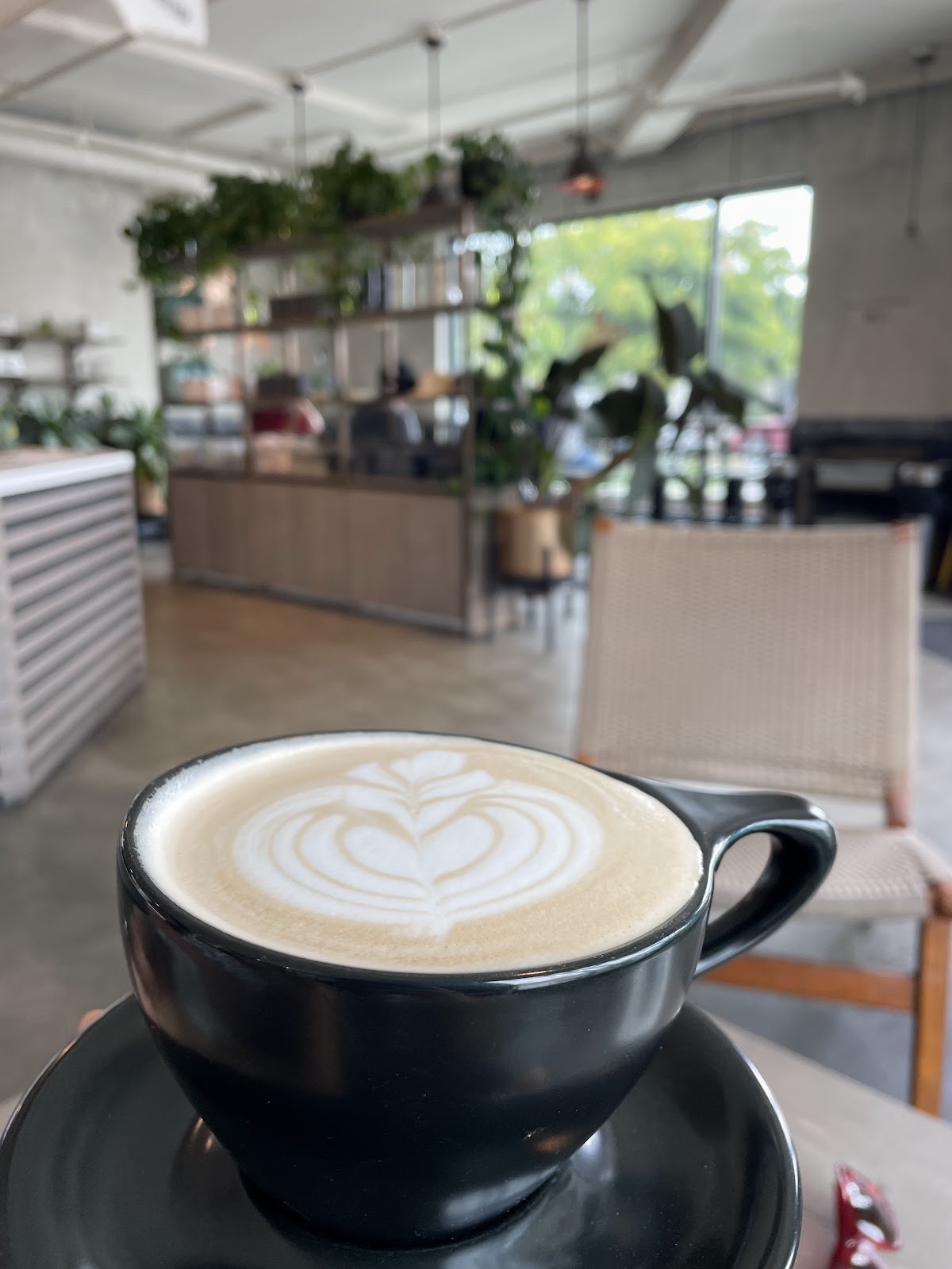 The Boy & The Bear - Coffee Roastery — café photo 2