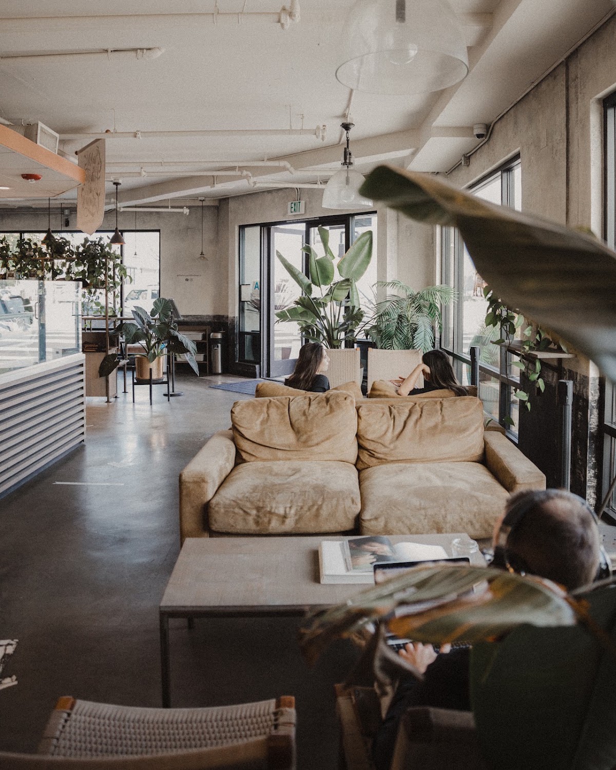 The Boy & The Bear - Coffee Roastery — café photo 6