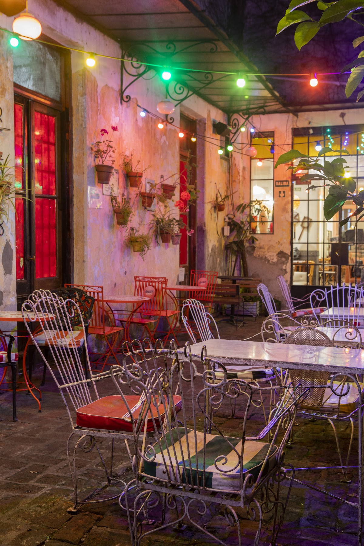 Malvon Café — café photo 1