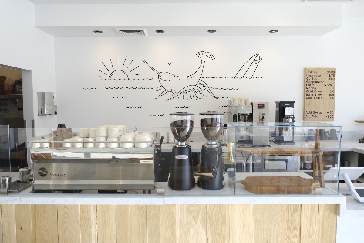 Gnarwhal Coffee Co. — café photo 1