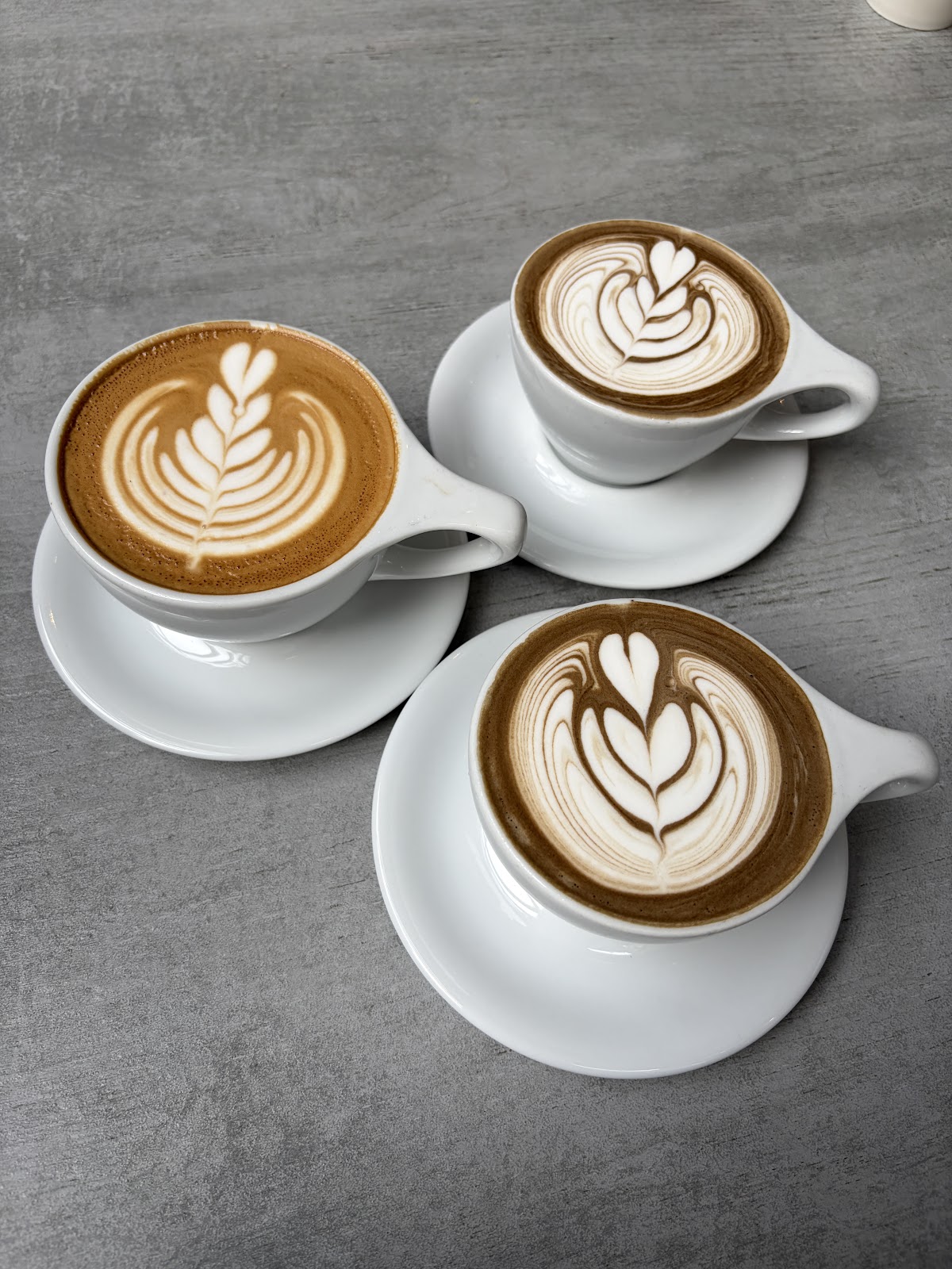 Ogawa Coffee Boston — café photo 3