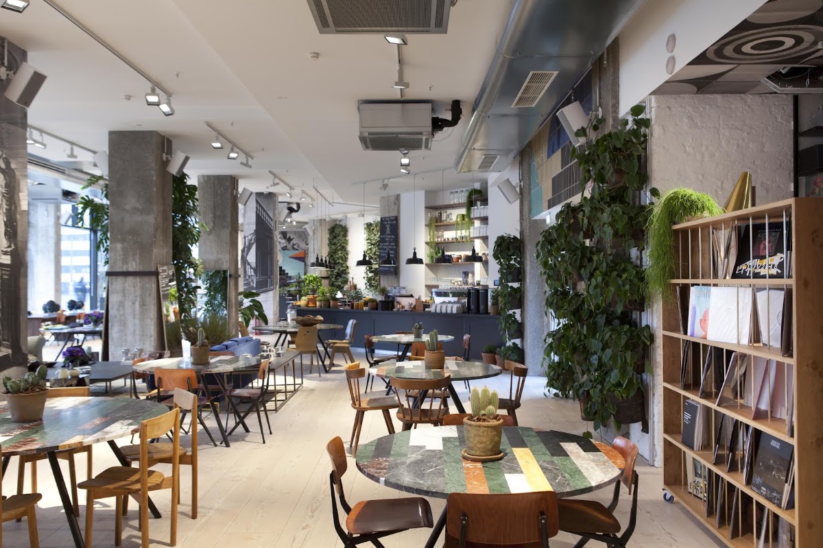 The Store Kitchen — café photo 1