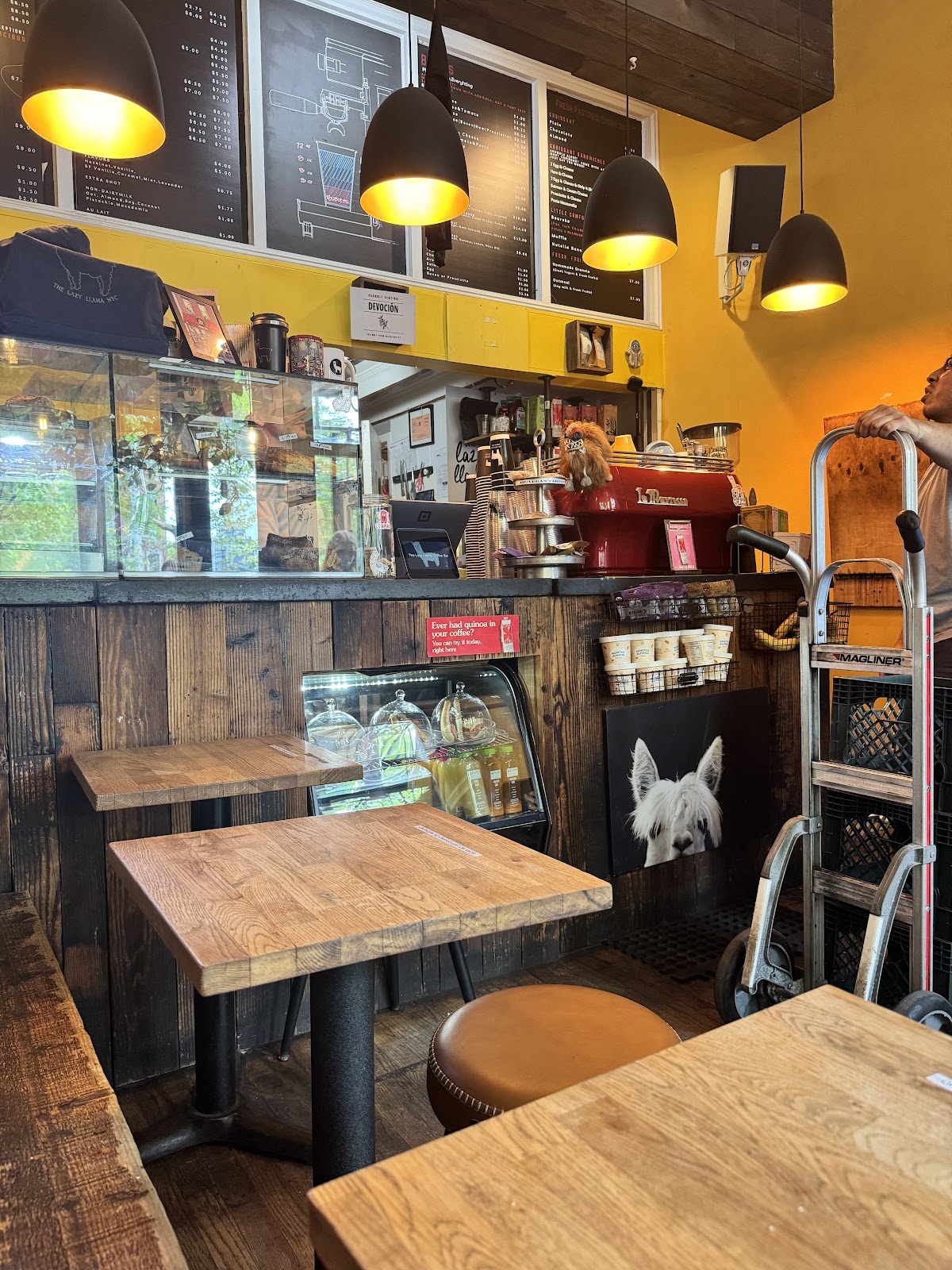 The Lazy Llama Coffee Bar — café photo 3