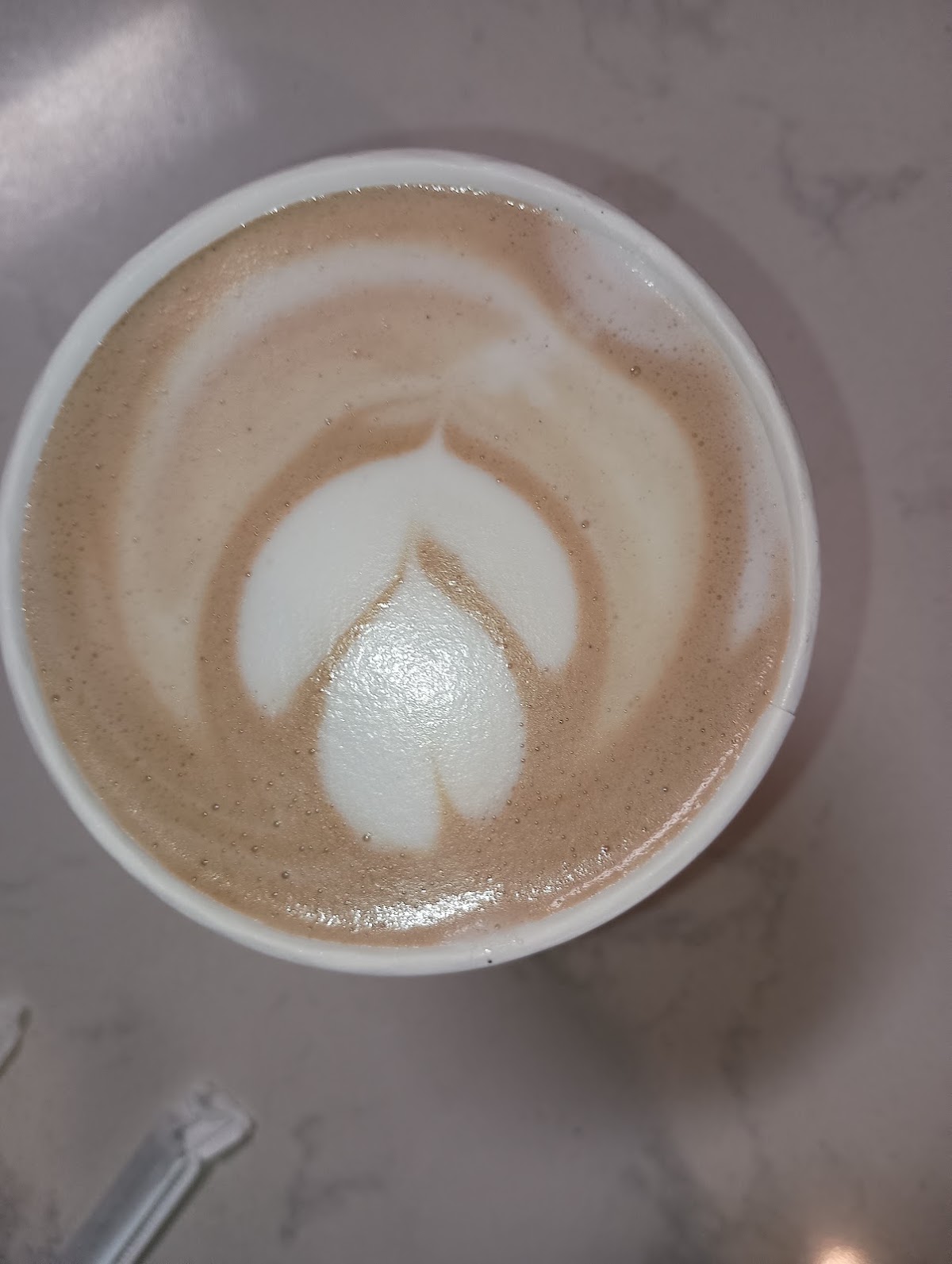 Blue Butterfly Coffee — café photo 6