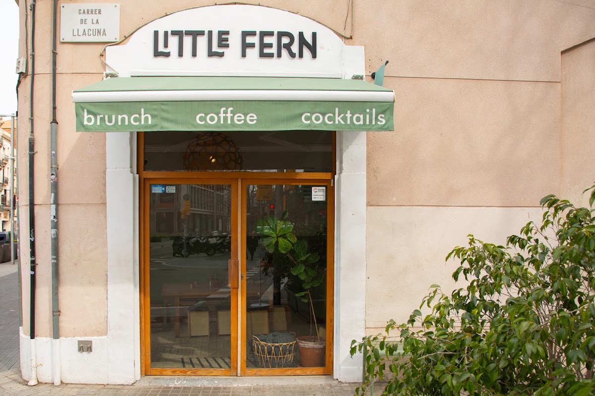 Little Fern Coffee — café photo 1