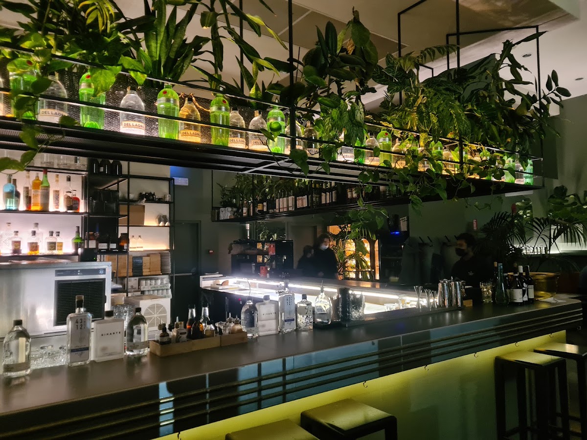 Botanical Club Tortona — café photo 3