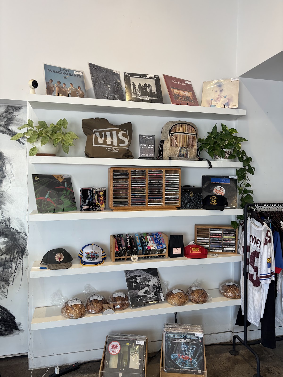 Driftwood Coffee — café photo 2