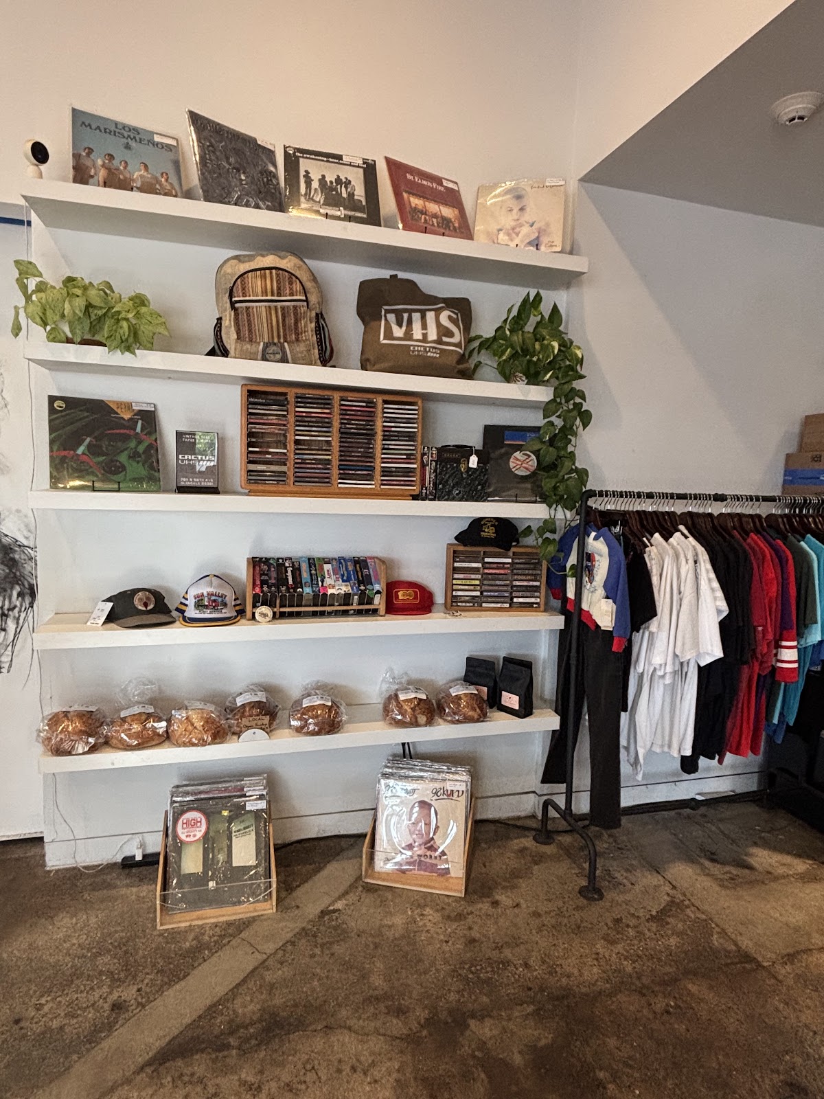 Driftwood Coffee — café photo 5