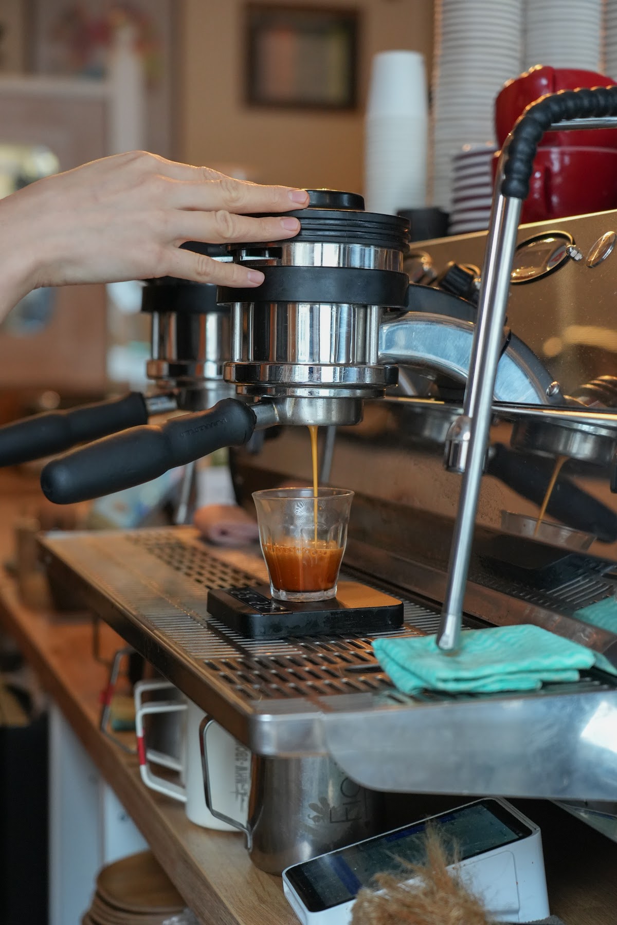 Specialty Cafetiere — café photo 2