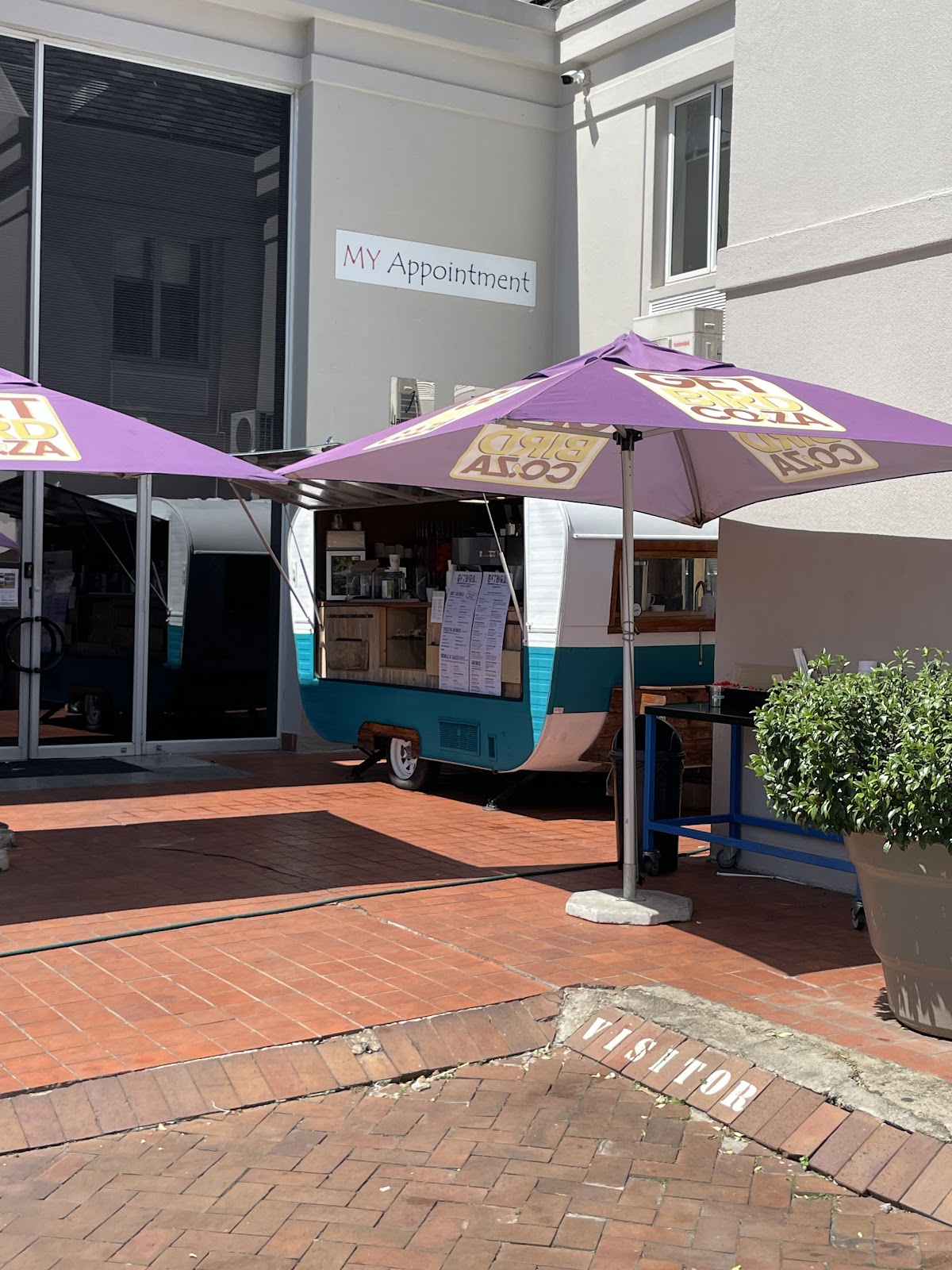 Voodoo Lily Café — café photo 1