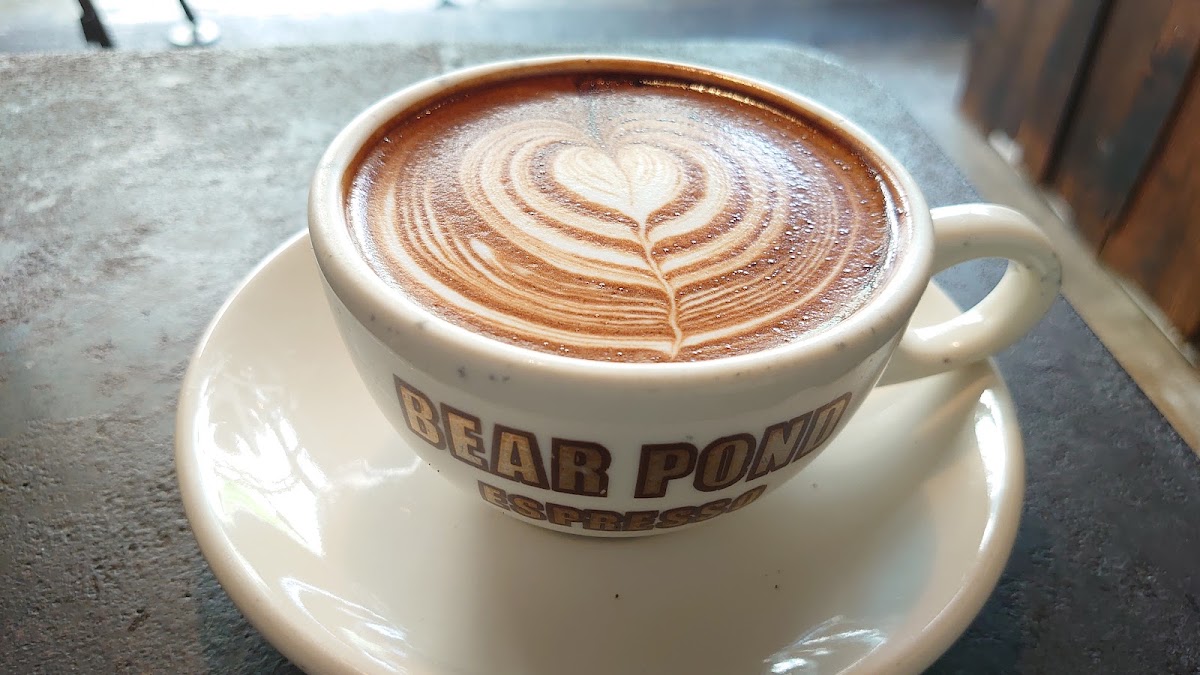 Bear Pond Espresso — café photo 2